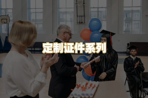 定制证件系列